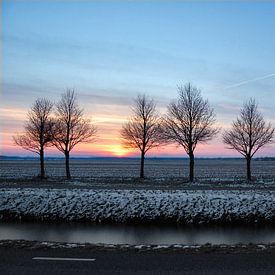 Sunset in winter sur Edwin Teuben