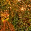 Autumn in South Limburg by John Kreukniet