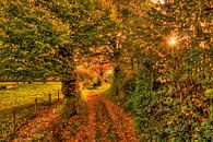 Autumn in South Limburg by John Kreukniet thumbnail