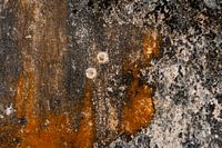 Passion drops Abstraktes Kunstwerk