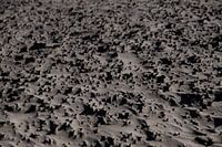 Beach detail of the Dutch coast