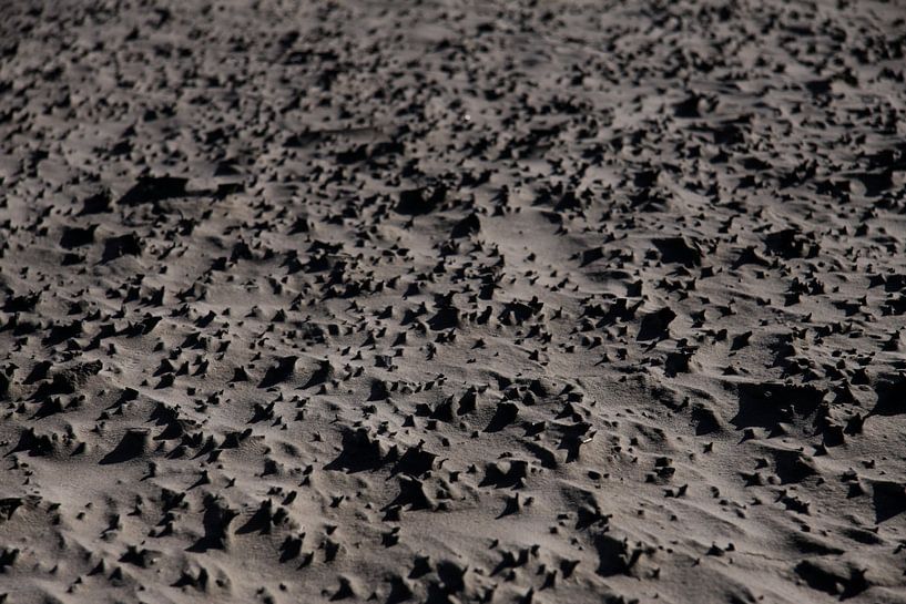 Détail de plage de la côte néerlandaise par Peter van Weel