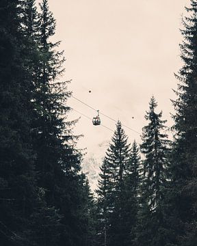 Kabelbaan tussen de bomen van Steffen Peters