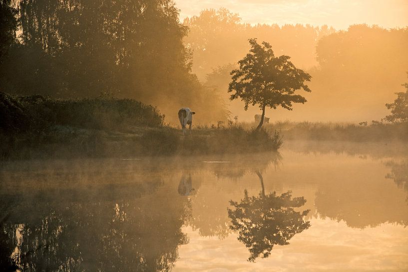 Sonnenaufgang von PvdH Fotografie