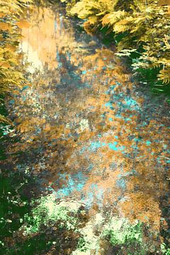 Waterspiegelingen in herfstkleuren van Diana Mets