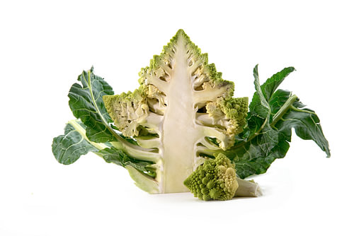 Romanesco-Brokkoli oder römischer Blumenkohl, halber Schnitt, isoliert auf weißem Hintergrund mit Ko