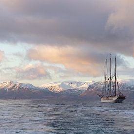 Segelschiff im Fjord, Norwegen von Harald Stein
