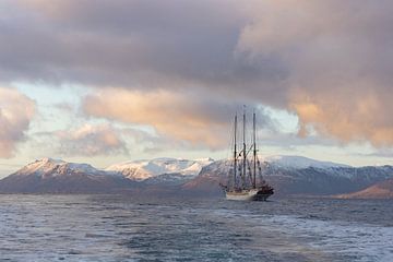 Zeilschip in de fjord van Harald Stein
