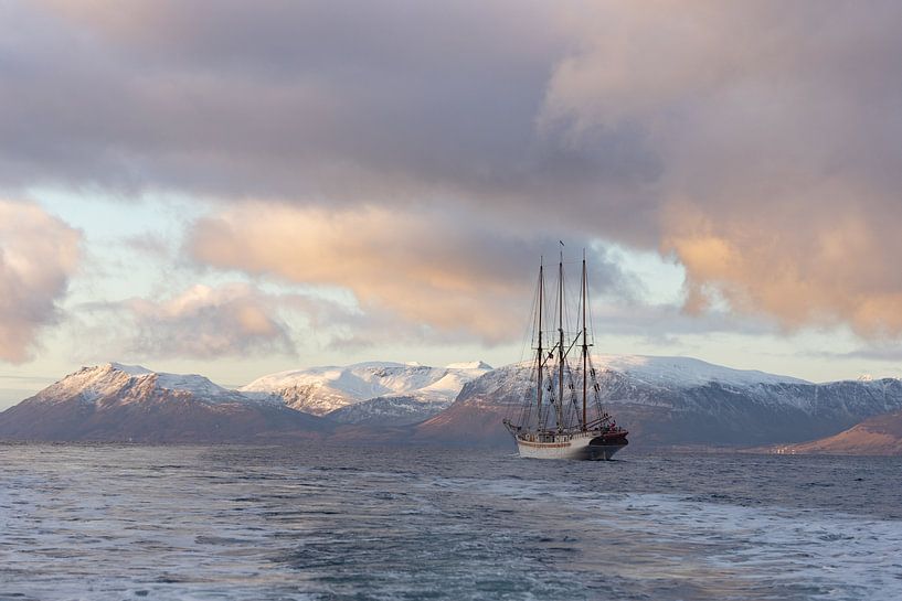 Sailing ship in the fjord by Harald Stein