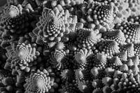 Fractal groenten: Romanesco.