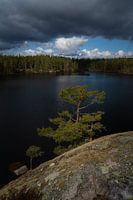 Zweden, het natuurlijke landschap van licht en donker