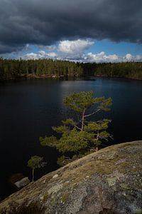 Schweden, die natürliche Landschaft aus Licht und Dunkelheit von Bart Cox