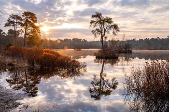 Lever de soleil Oisterwijkse Bossen en Vennen