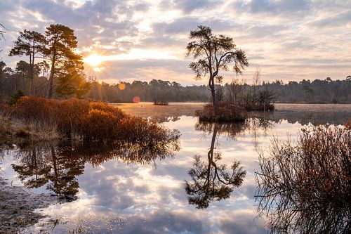 Sonnenaufgang Oisterwijkse Bossen en Vennen