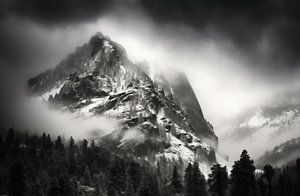 Abenteuer Natur