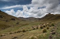 Mountains of Ozogoche