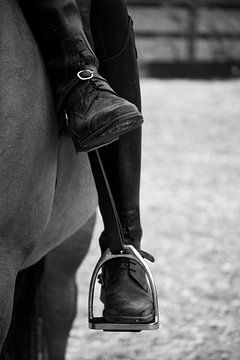 bottes d'équitation amazon sur un cheval sur Rochelle Van rees