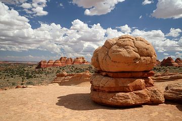 Rotsformaties in de North Coyote Buttes, deel van het Vermilion Cliffs National Monument. Dit gebied van Frank Fichtmüller