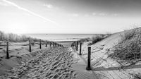 Strand in schwarz und weiß von Dirk van Egmond Miniaturansicht