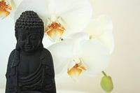Witte Meditatie