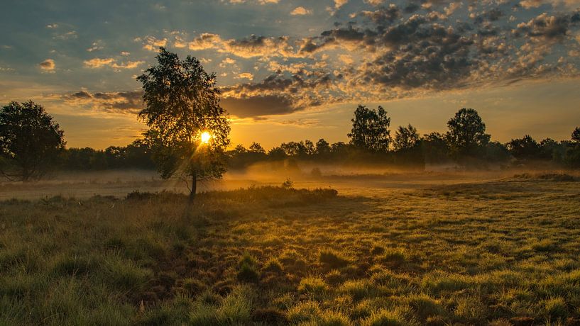 Heath landscape in Beuningen by Karen de Geus