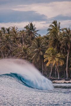 Mentawai waves by Andy Troy