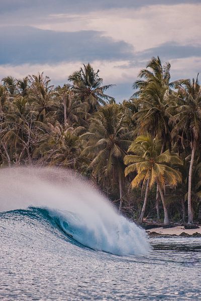 Vagues Mentawai par Andy Troy