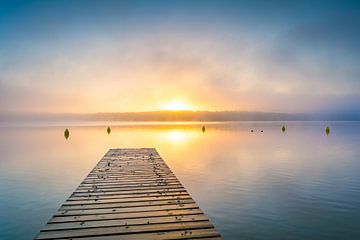 Mist op het meer van Martin Wasilewski