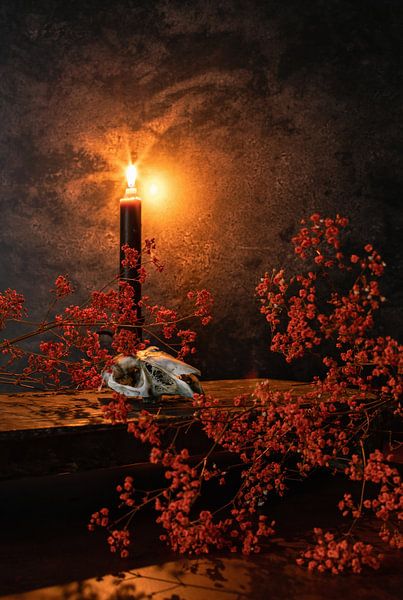 Rabbit skull and candle light. van Justin Sinner Pictures ( Fotograaf op Texel)