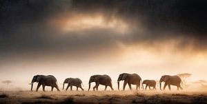 Caravane éléphant