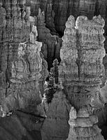 BRYCE 6