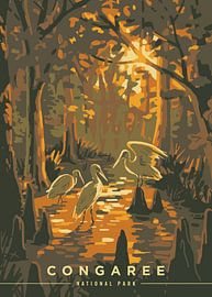 Travel to Congaree
