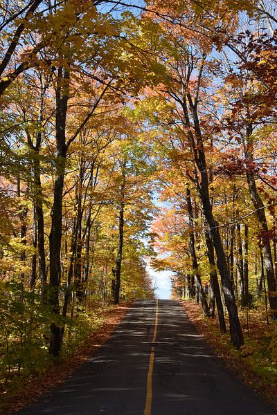 A country road in autumn by Claude Laprise