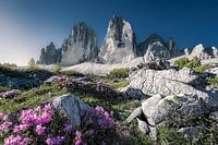 Paysage près de Drei Zinnen dans les Dolomites en Italie