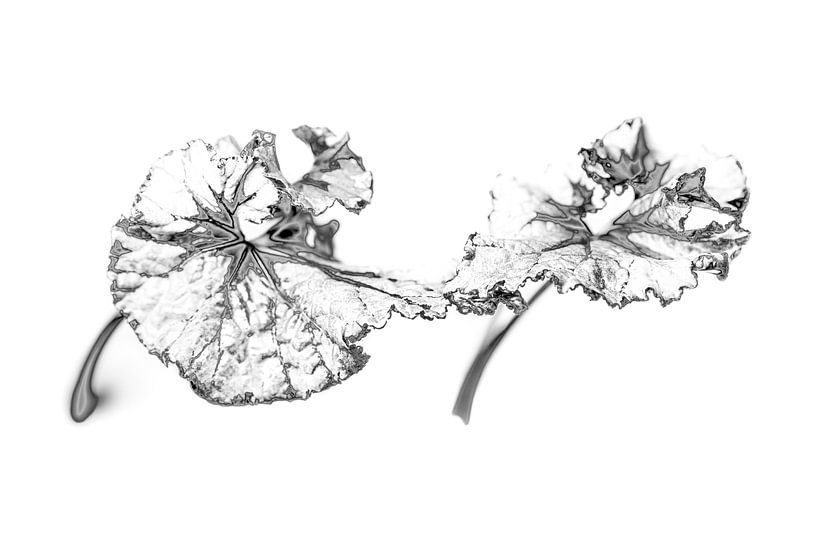 Connected in a Dance Basic Botanische prenten in Digital art. van Alie Ekkelenkamp