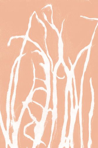 Wit gras in retrostijl. Moderne botanische kunst in lichte terracotta of roze zalmkleur.