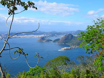 Uitzicht over de baai van Rio de Janeiro vanaf de top van de Corcovado van Thomas Zacharias