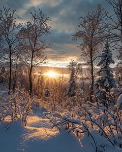 Winterlandschaft