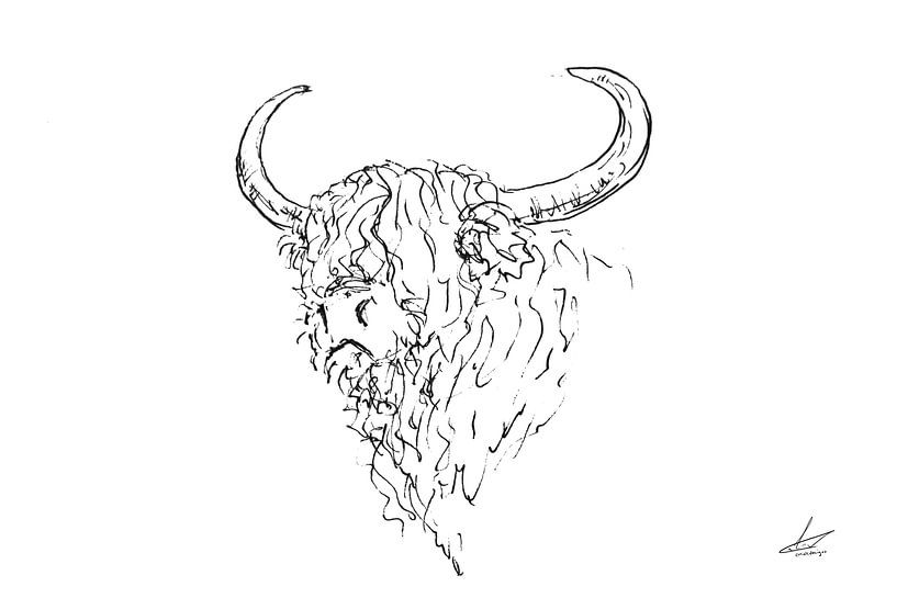 Schotse hooglander - links - minimalistische tekening in wit zwart van Emiel de Lange