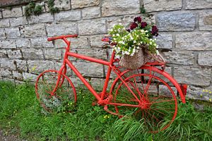 Rode fiets  met bloemen tegen muur van My Footprints