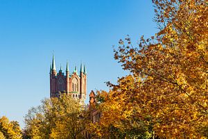 Blick auf den Wasserturm in der Hansestadt Rostock im Herbst
