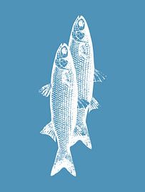 Pescados by Elizabeth C