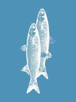 Pescados van Elizabeth C
