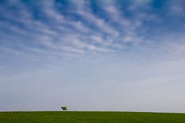 On the dyke by Ingrid Wilson