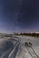 Ski tracks under the Milky Way