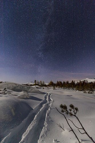 Ski tracks under the Milky Way