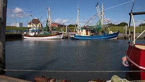 Fischtrawler im Hafen von Tammensiel