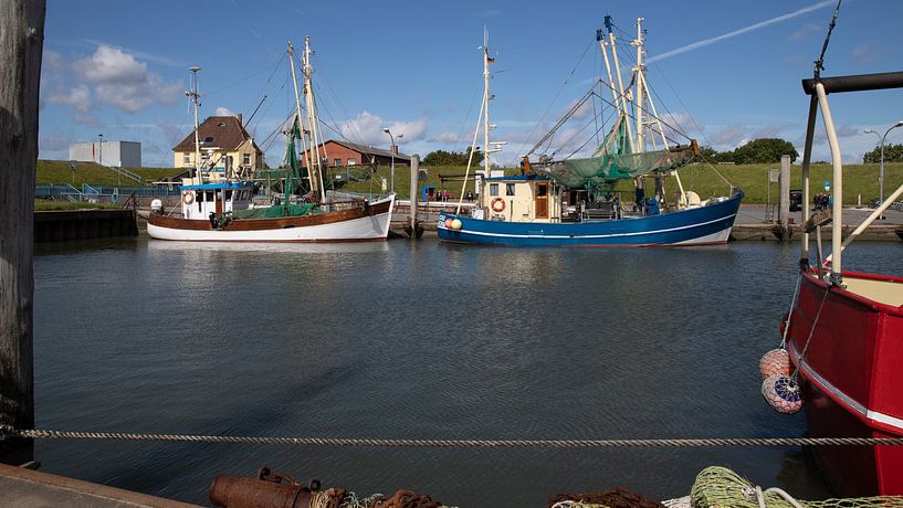 Vissersvaartuigen in de haven van Tammensiel van Alexander Wolff