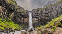 Svartifoss waterval in IJsland van Sjoerd van der Wal Fotografie thumbnail