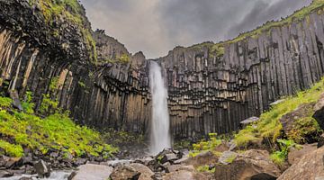 Svartifoss-Wasserfall in Island von Sjoerd van der Wal Fotografie